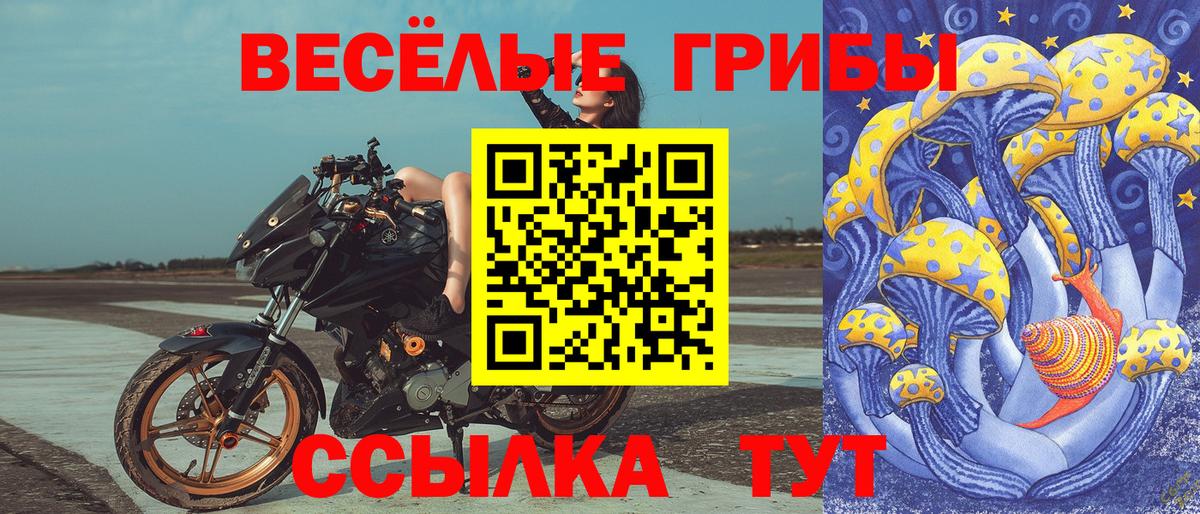 Псилоцибиновые грибы ЛСД  купить наркоту  Шахты  Вход с VPN 